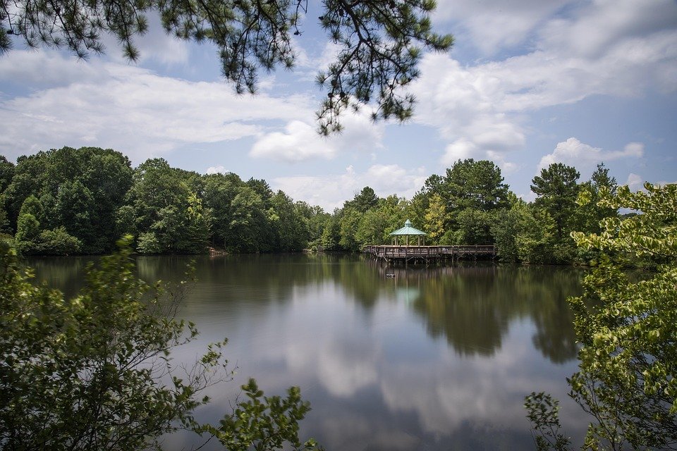 Facing Cancer and Struggling for Care: The Impact of Georgia’s Medicaid Restrictions