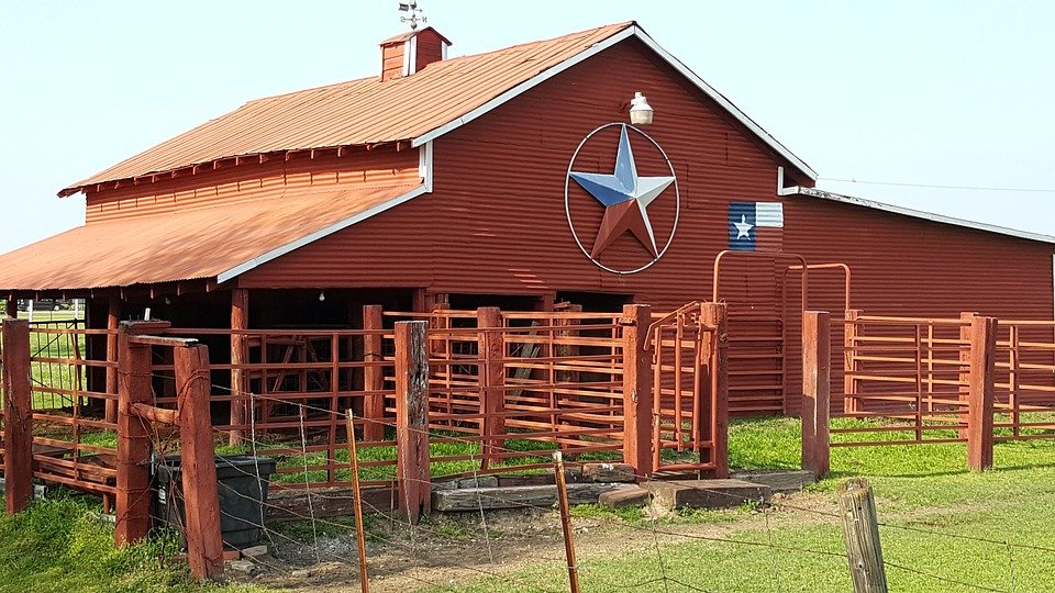 Lone Star Card Not Working? Get the Latest TX HHSC Update for Your Benefits - May 2026!