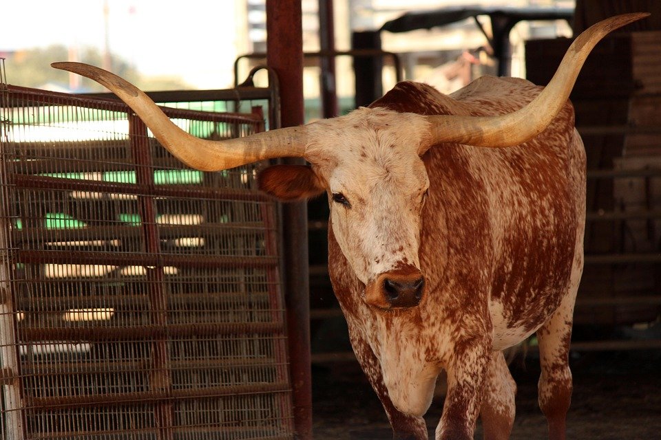 Lone Star Executive Suites Celebrates 10 Years of Helping Texans Keep Money in Their Pocket!