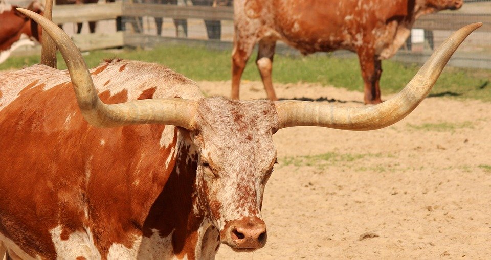 Texas House Approves Relief Bill for Potential $1,400 Stimulus Checks