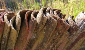 TDHCA Announces Training for 811 Project Rental Assistance Certifications